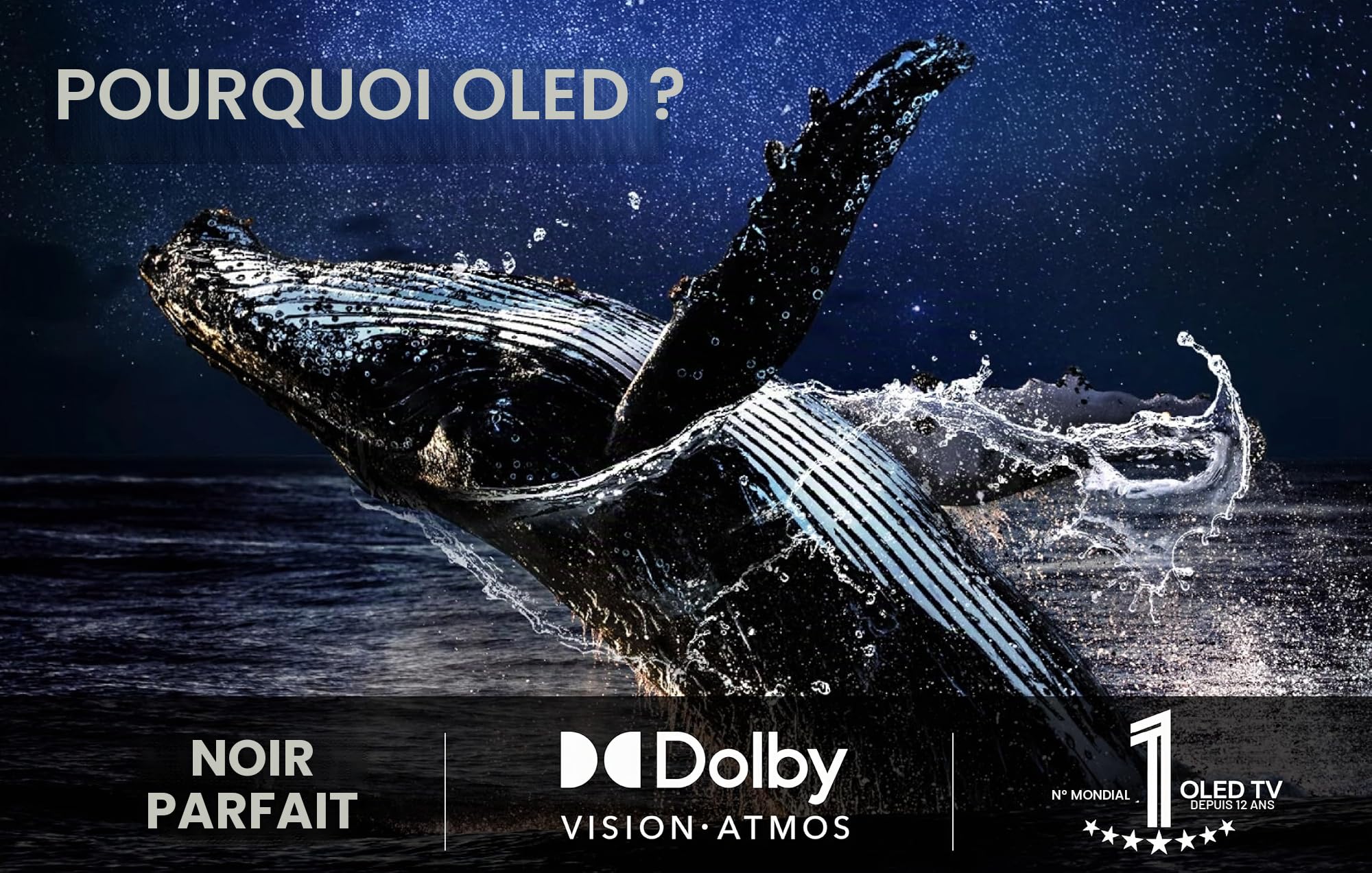 LG OLED evo C5 4K TV, 48", 144 Hz, Dolby Vision IQ, webOS 25, HDMI 2.1, processeur IA, Dolby Atmos