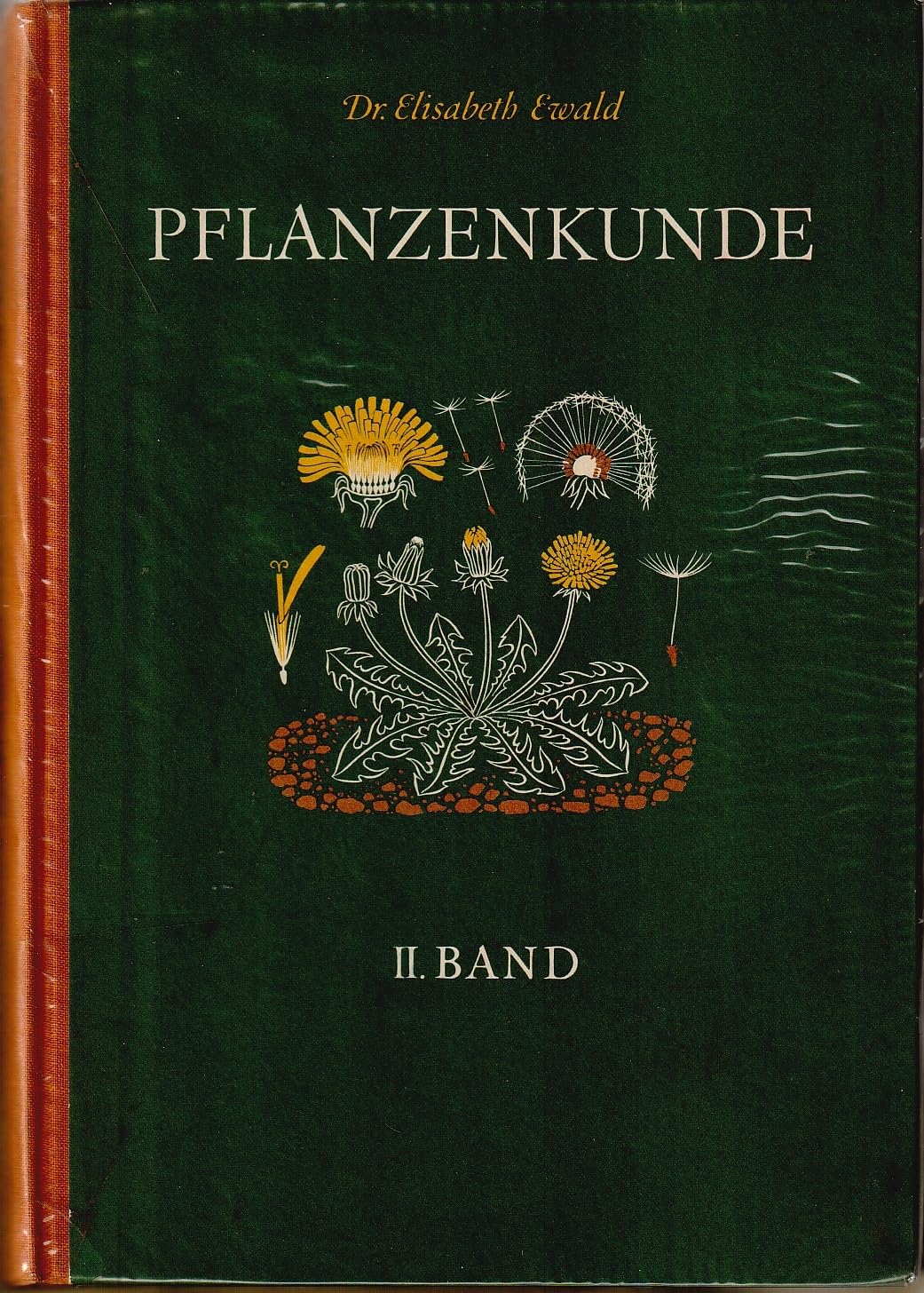 Pflanzenkunde / Von Elisabeth Ewald Band II. Amazon.de Bücher
