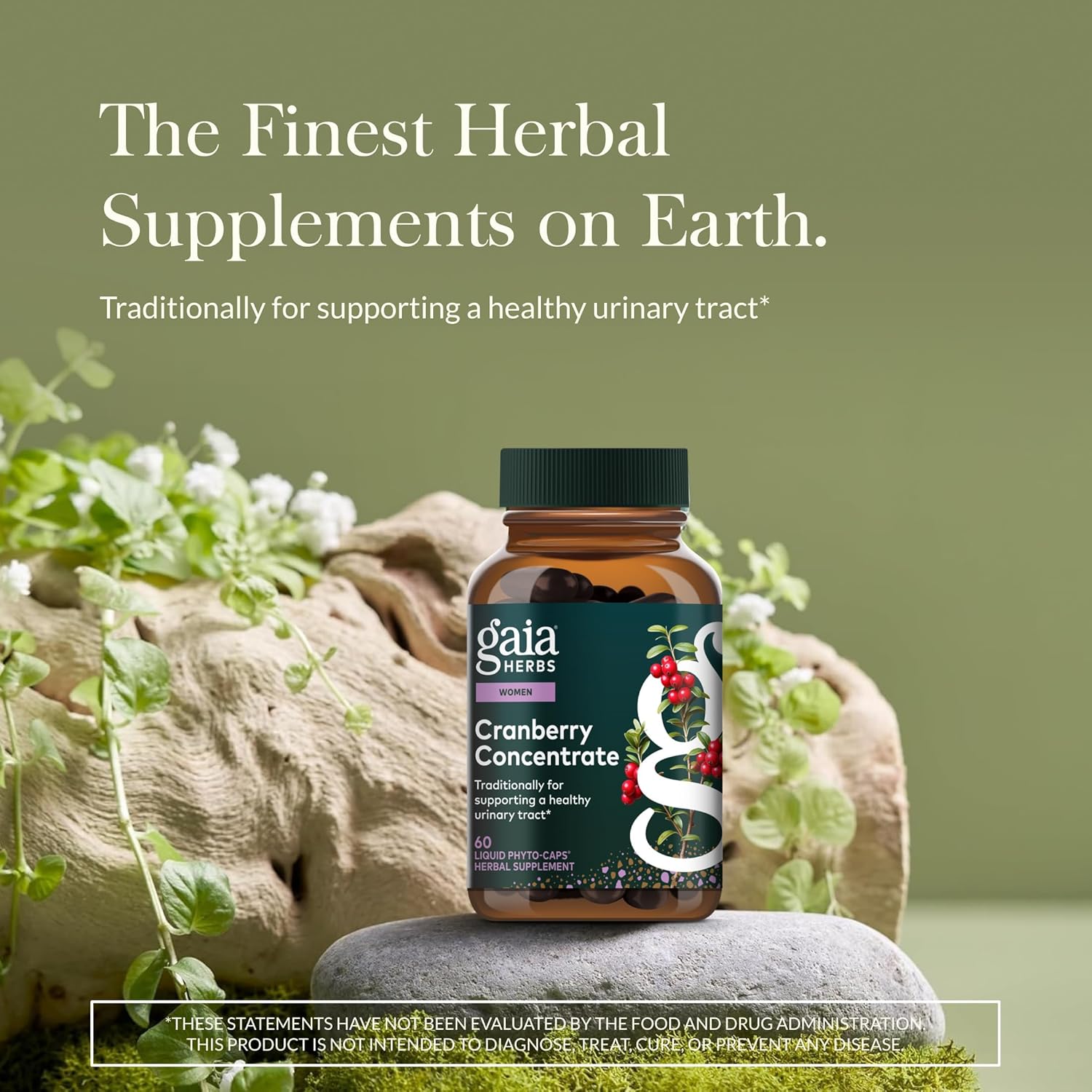 Gaia Herbs Cranberry Concentrate - Traditionally for Helping to Maintain Urinary Tract Health* - Made with Cranberry Fruit Juice Concentrate - 60 Vegan Liquid Phyto-Caps (60 Servings)