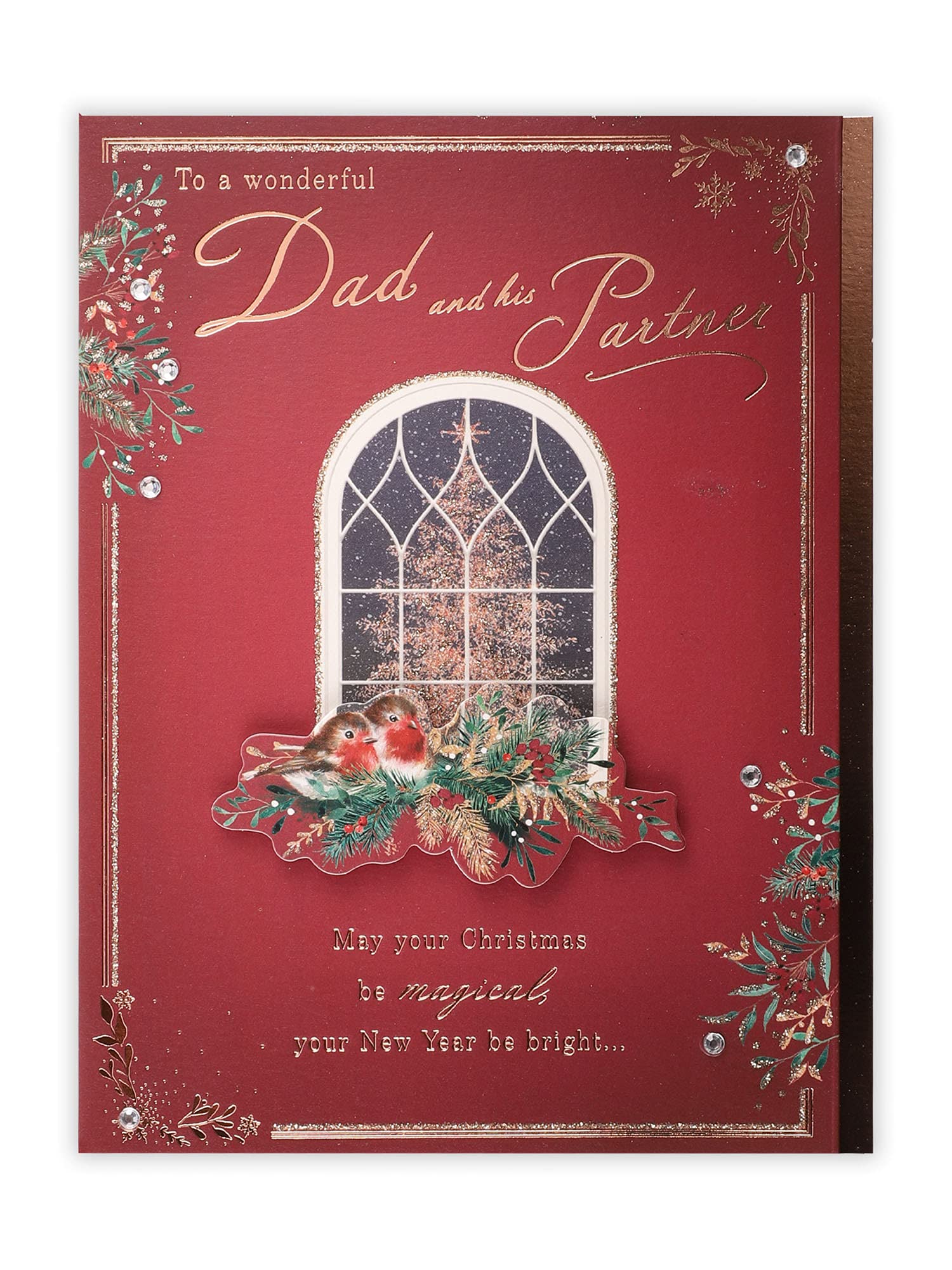Clintons: Decorative Window With Robins On Foilage Dad & Partner Christmas Card, Multi-Colour, 155 x 201, 1170854
