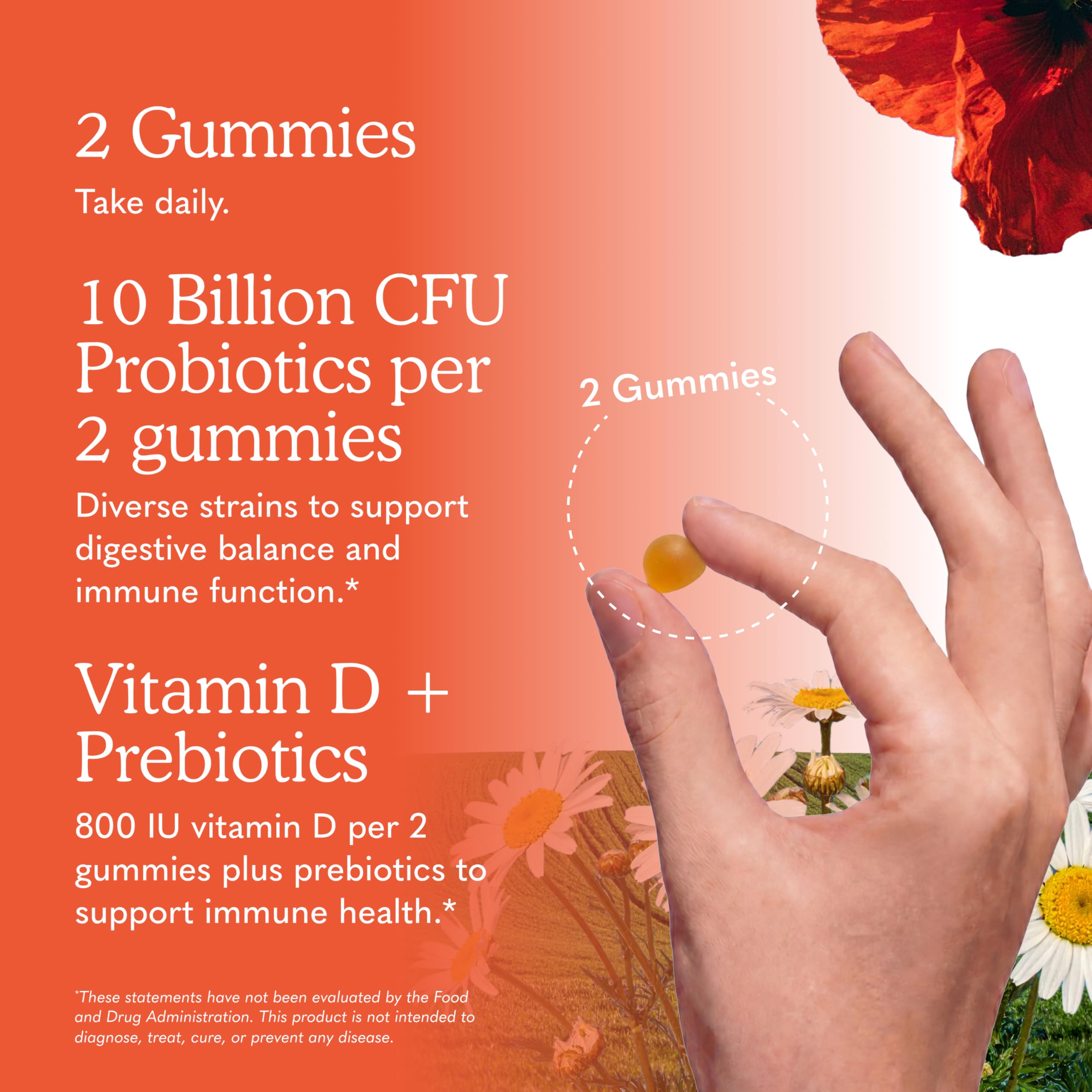 Garden of Life Dr. Formulated Probiotic Gummies, Orange Dream Flavor, 60ct — Amazon image 5