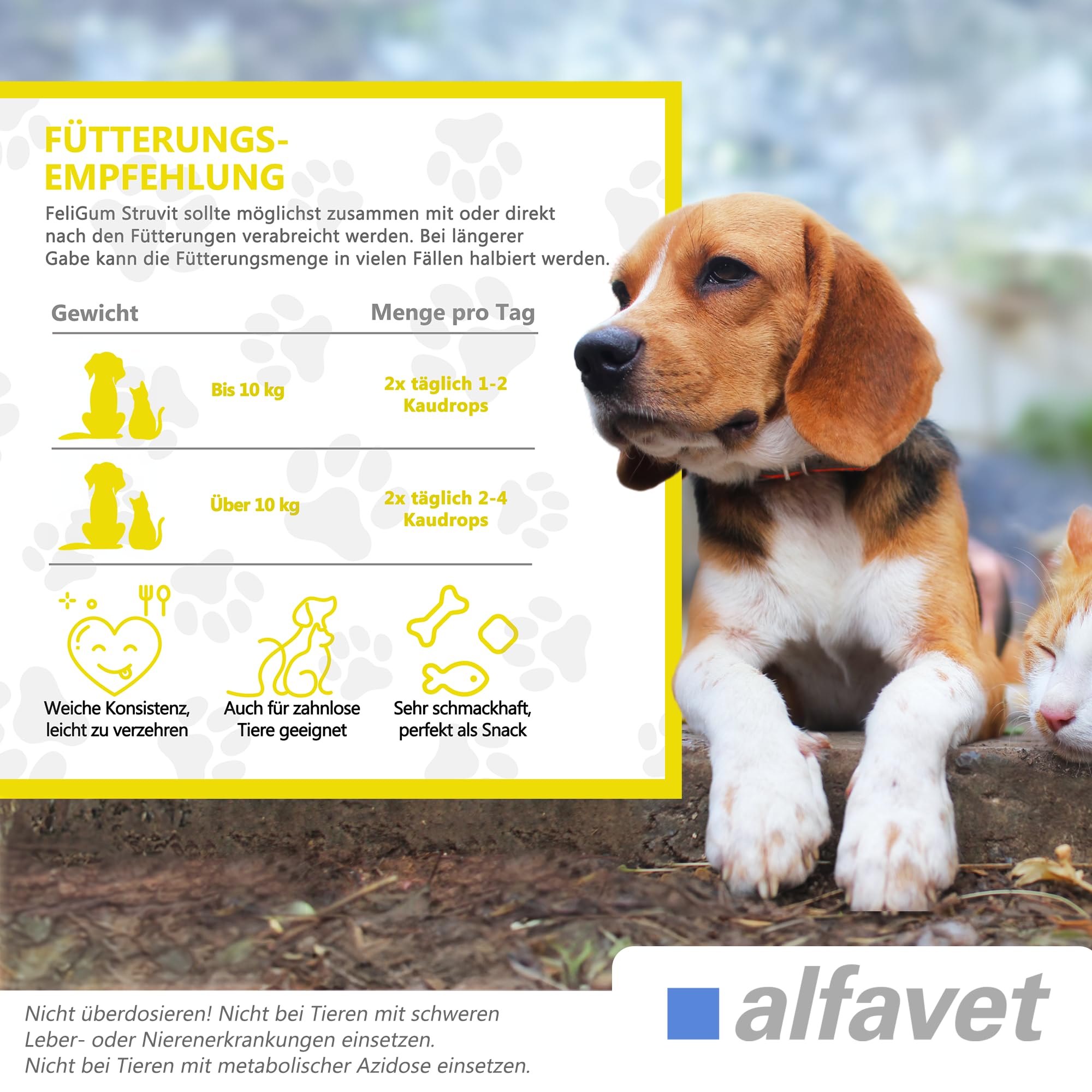 Alfavet FeliGum Struvit | Confezione da 3 | 3 x 160 g | Mangime complementare per gatti e cani di piccola taglia | Per mantenere un pH sano nelle urine | Contiene DL-metionina