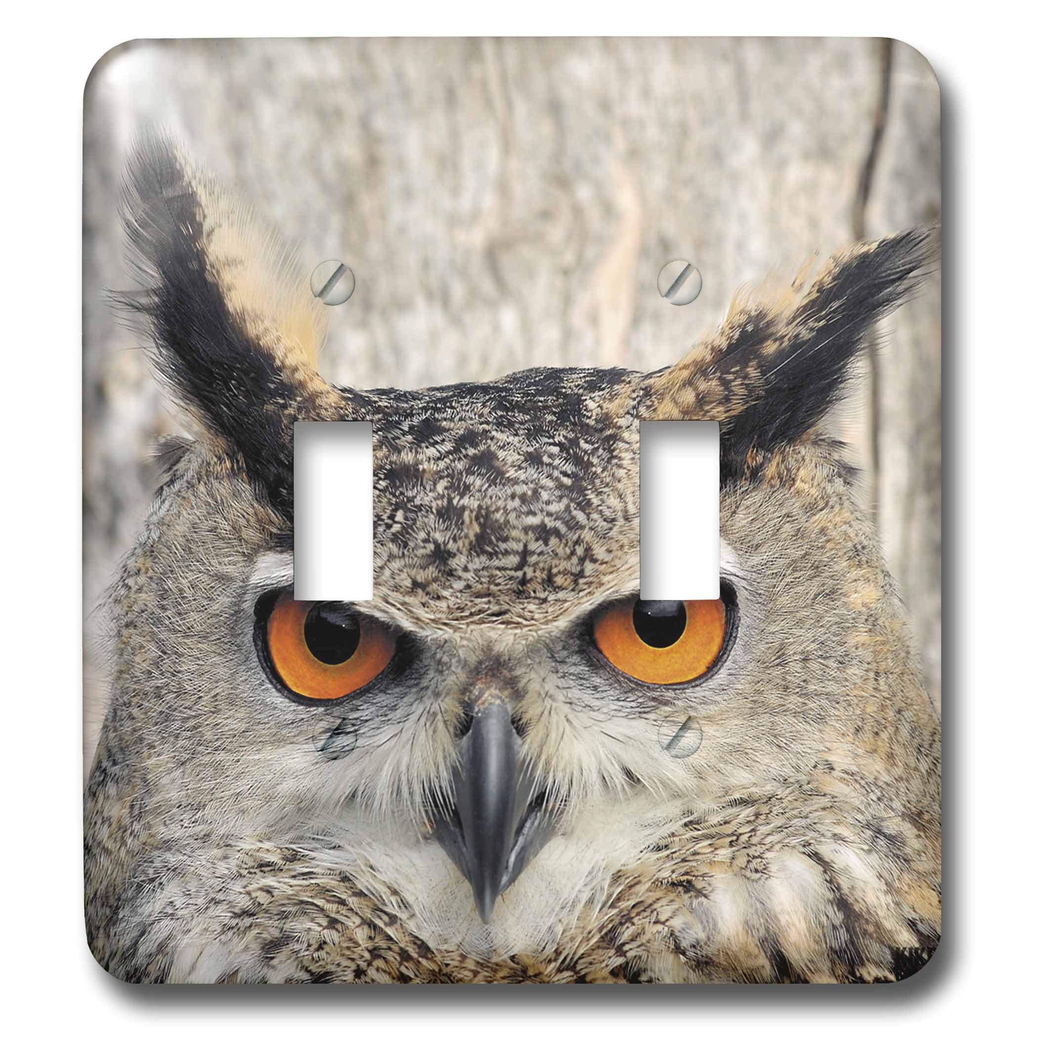 Eagle Owl Bubo interrupteur double pour une ambiance chalet nature