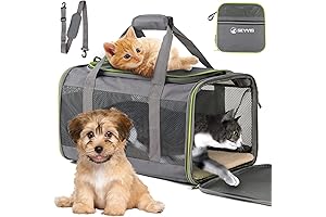 Pet Carrier for 20lb+ Felines: A Cozy Haven for Large Kitty Comrades