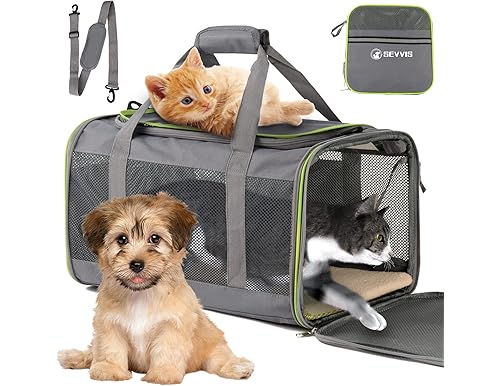 Top Picks: Best Pet Carrier for 20lbs Pets in 2024