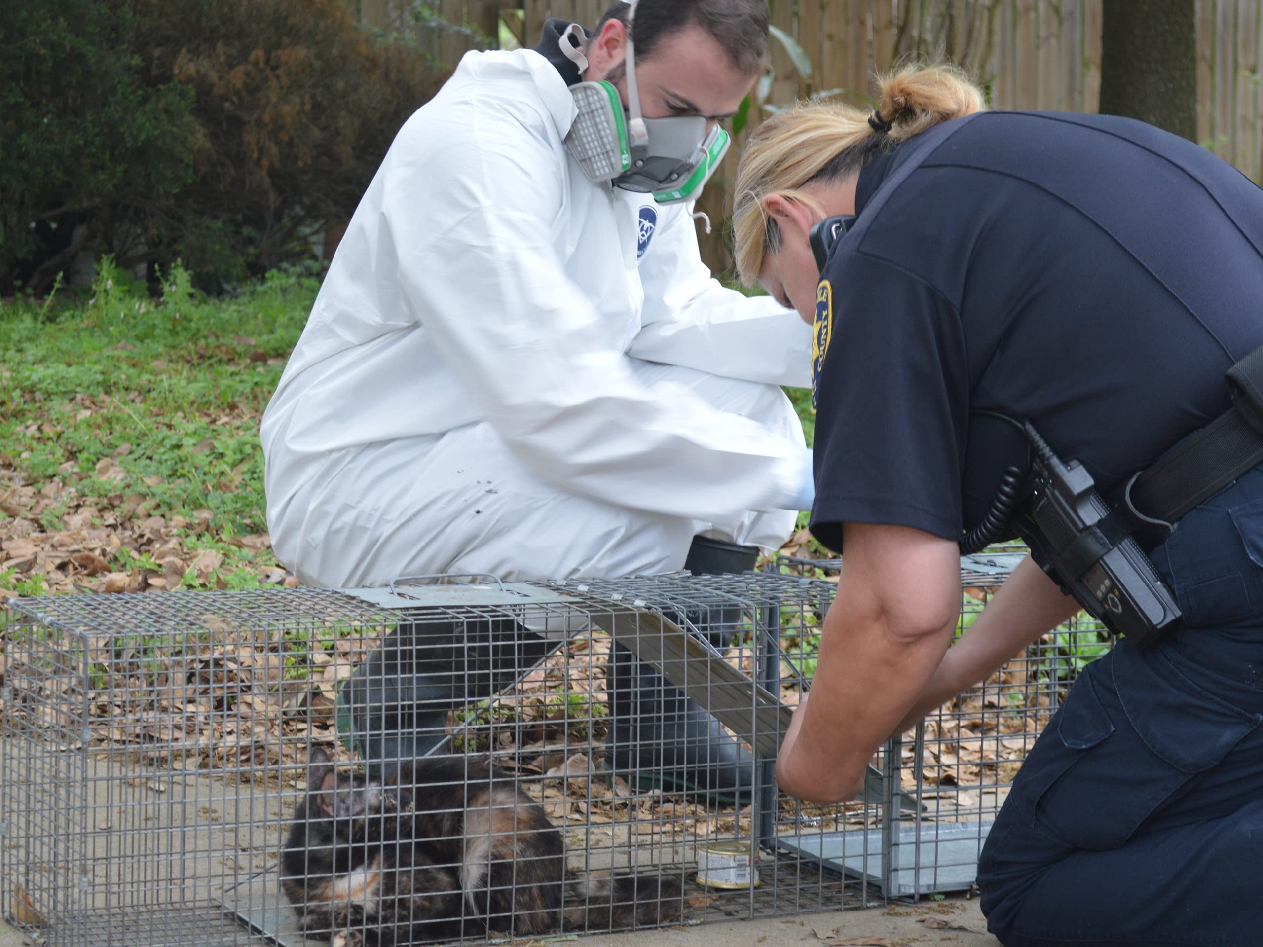 Watch Animal Cops Houston Season 9 Prime Video