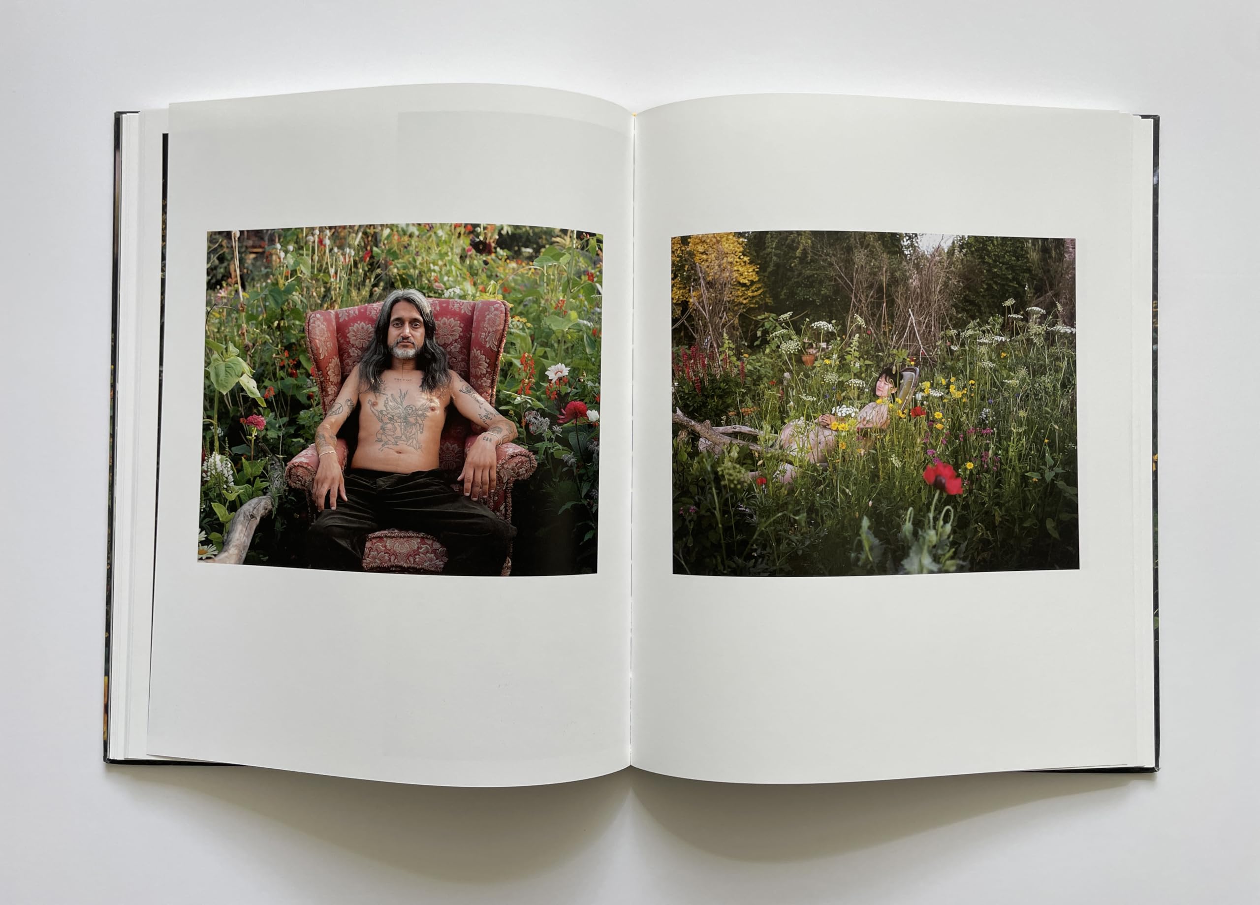 SiAn Davey: The Garden /anglais