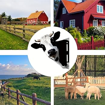 Amazon.co.jp: 覗く牛 - 300g 金属製牛ヤード |面白いのぞき見する牛の