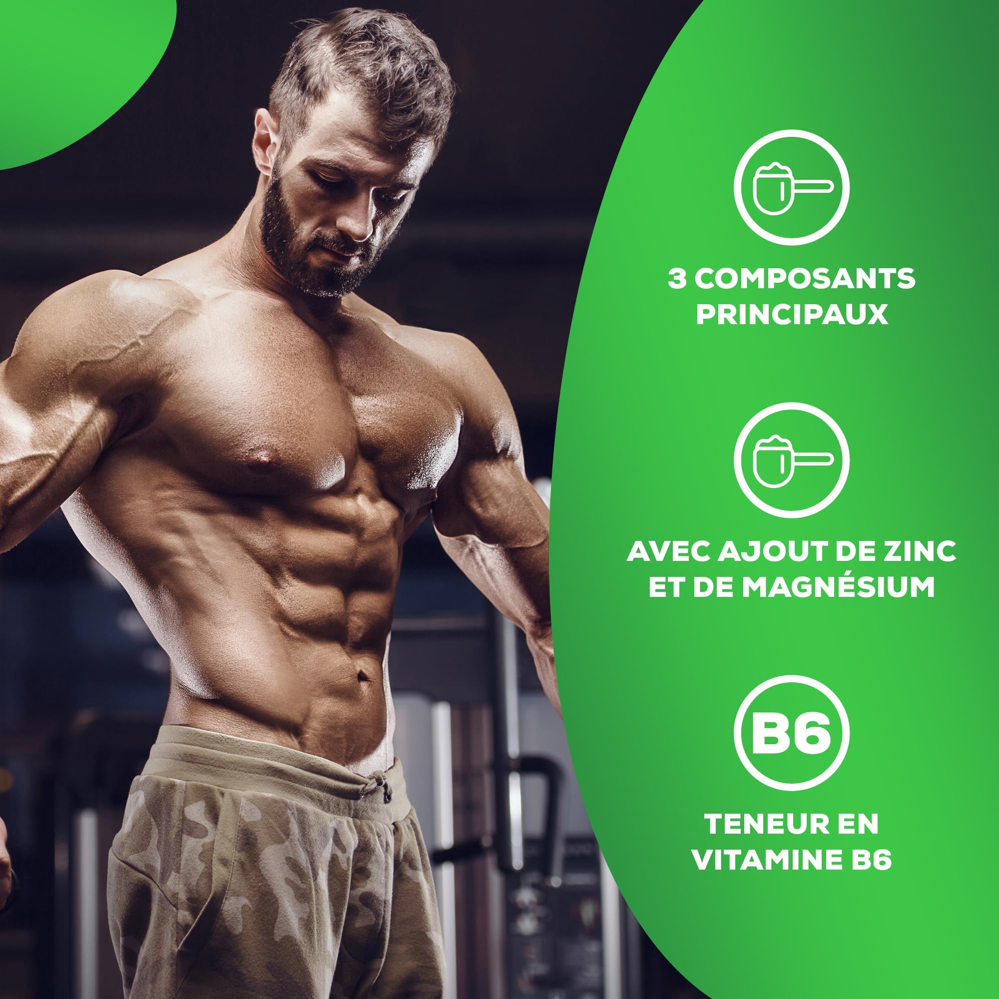BioTechUSA ZMB Capsules | Optimiseur d'hormones | avec Zinc, Magnésium et Vitamine B6 | Soutien à la testostérone, 60 capsules