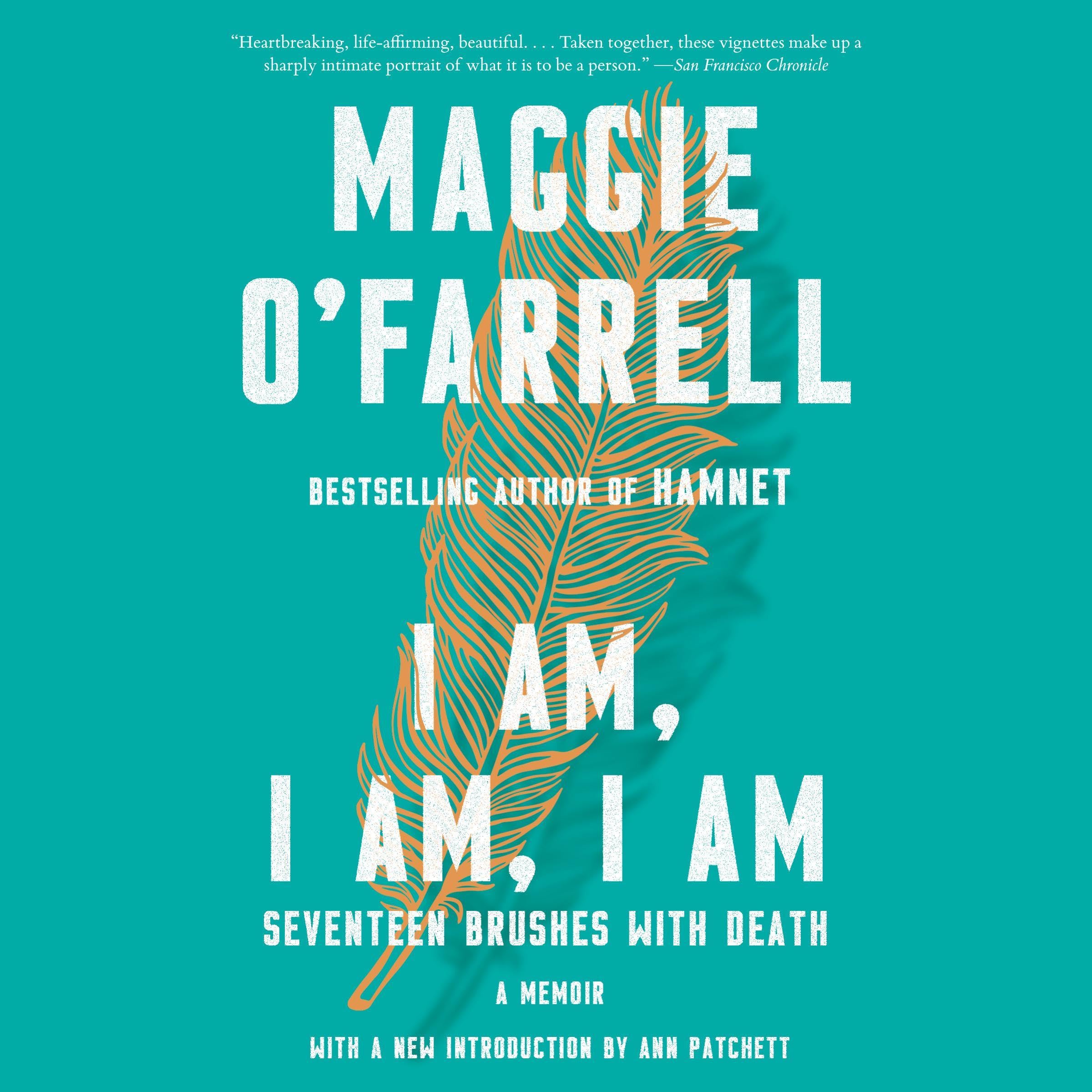 Cover art for I Am, I Am, I Am