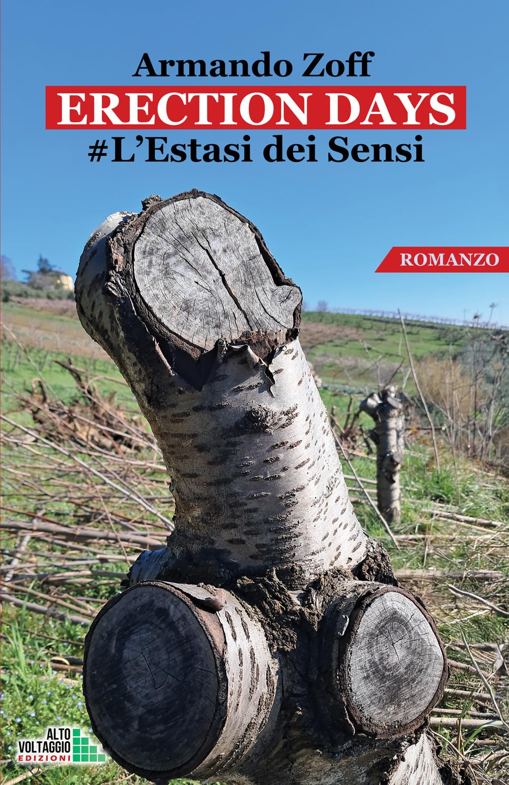 ERECTIONS DAYS: #L'Estasi dei Sensi