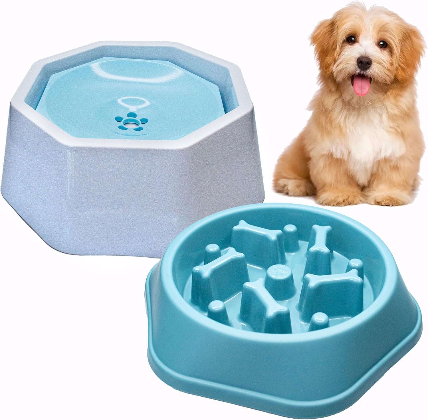 STP Empire Dog Water Bowl for Messy Drinkers 30oz & Dog Slow Feeder Bowl Dog