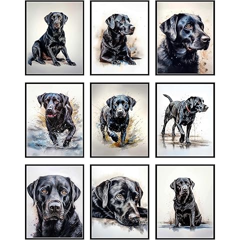 BigWig Prints Black Labrador Wall Art - Labrador Retriever Pictures, Dog Posters for Home Decor, Black Lab Gift Ideas, Dog Artwork for Living Room or Office - Unframed Set of 9 (8x10)