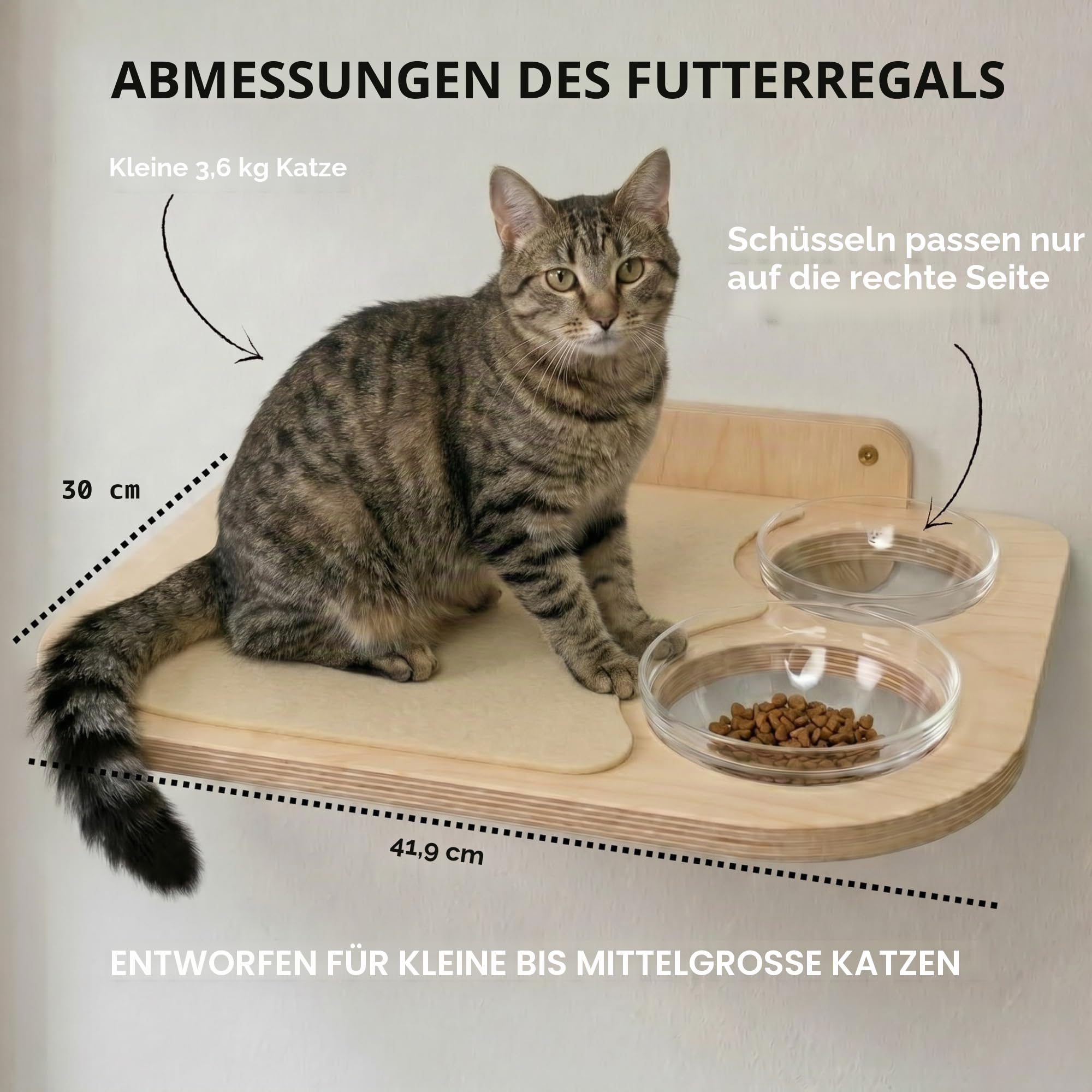 INICIO Katzenwandmöbel – Futterstation: Katzenwandregale & Stufen, Glasnäpfe, hundefest, modern, Birke, 3 Ebenen, 41,9 cm L x 32,5 cm B x 25,4 cm H