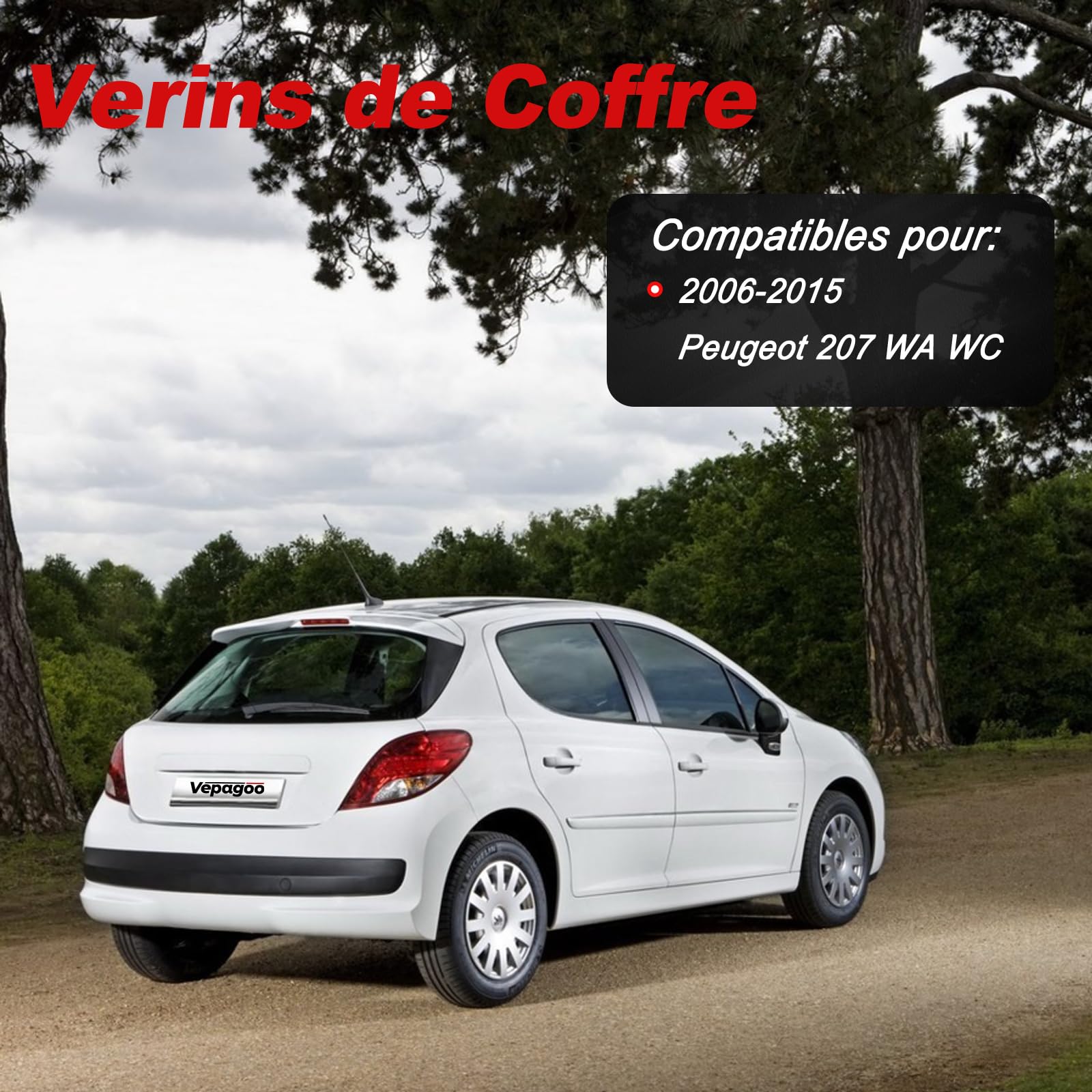 Vepagoo 2Pcs Verins de Coffre pour PEUGEOT 207 2006-2015 Vérin de Hayon Compatibles pour 8731L7 9659789480 Verin Hydraulique
