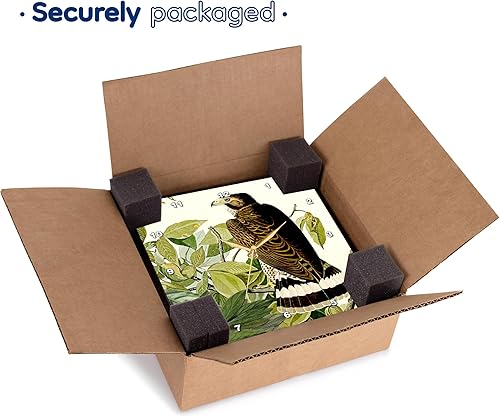 Miniatura 7 de 3dRose Wall Clock Silent - 10 inch - Broad-Winged Hawk Bird of Prey Audubon America Vintage Art Print - Bird Designs