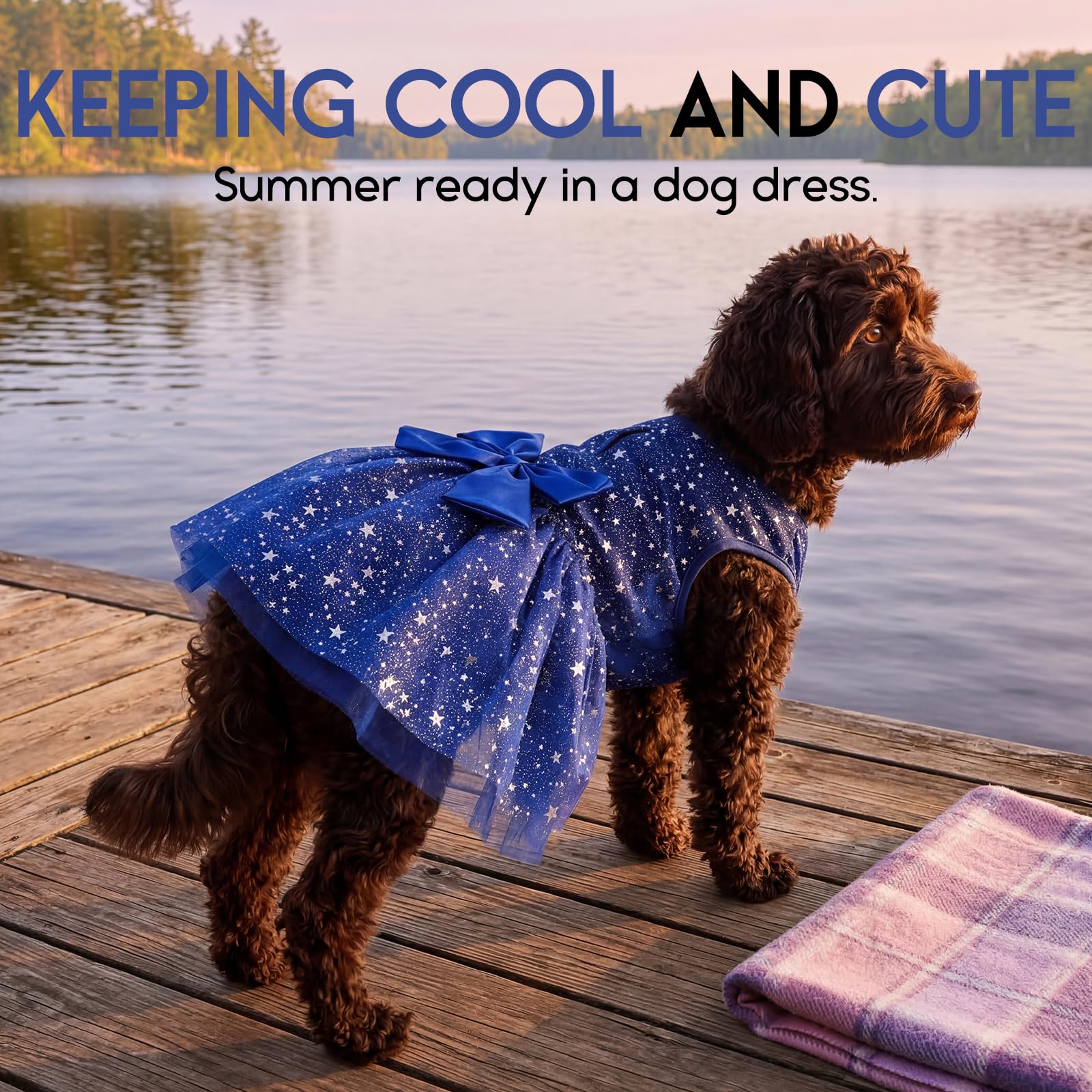 ASENKU Dog Dress Pet Wedding Dress Princess Lace Puppy Birthday Party Outfit Formal Apparel Girl for Small Medium Dogs Cats (Small, Navy Star) : Pet Supplies