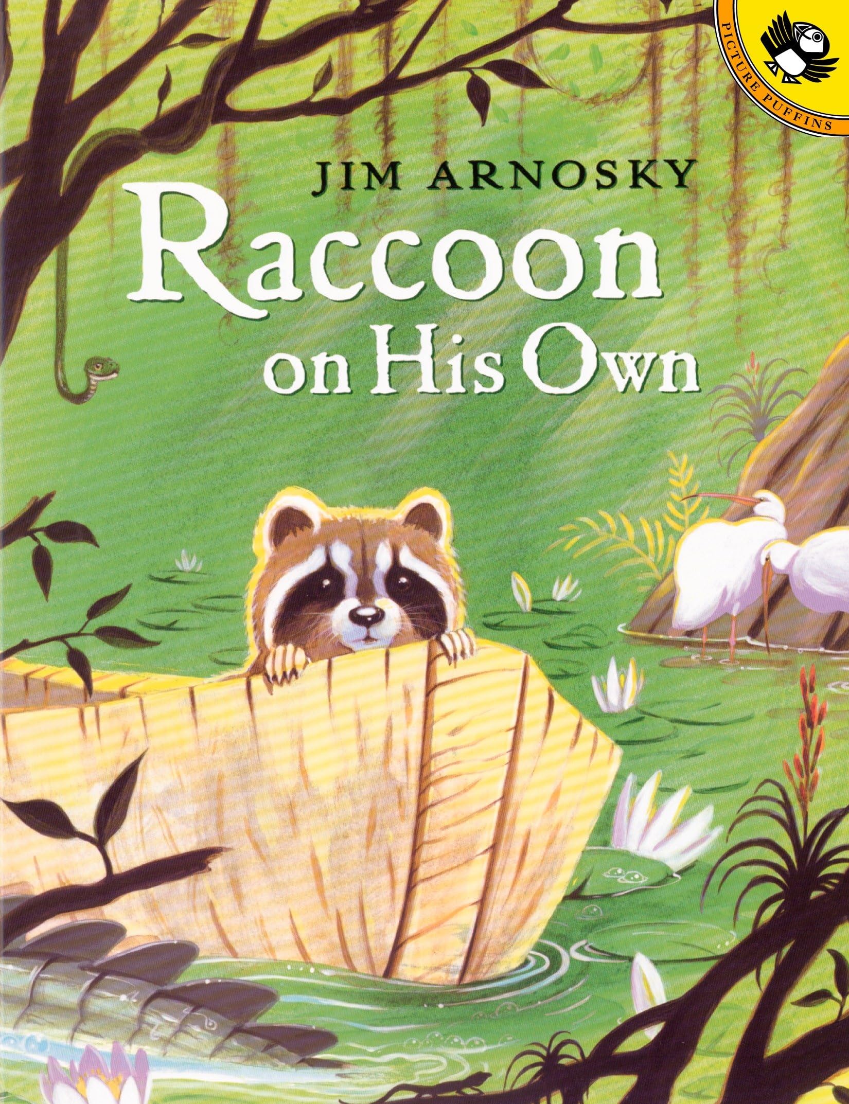 Cover of Raccoon On His Own (Picture Puffin Books)