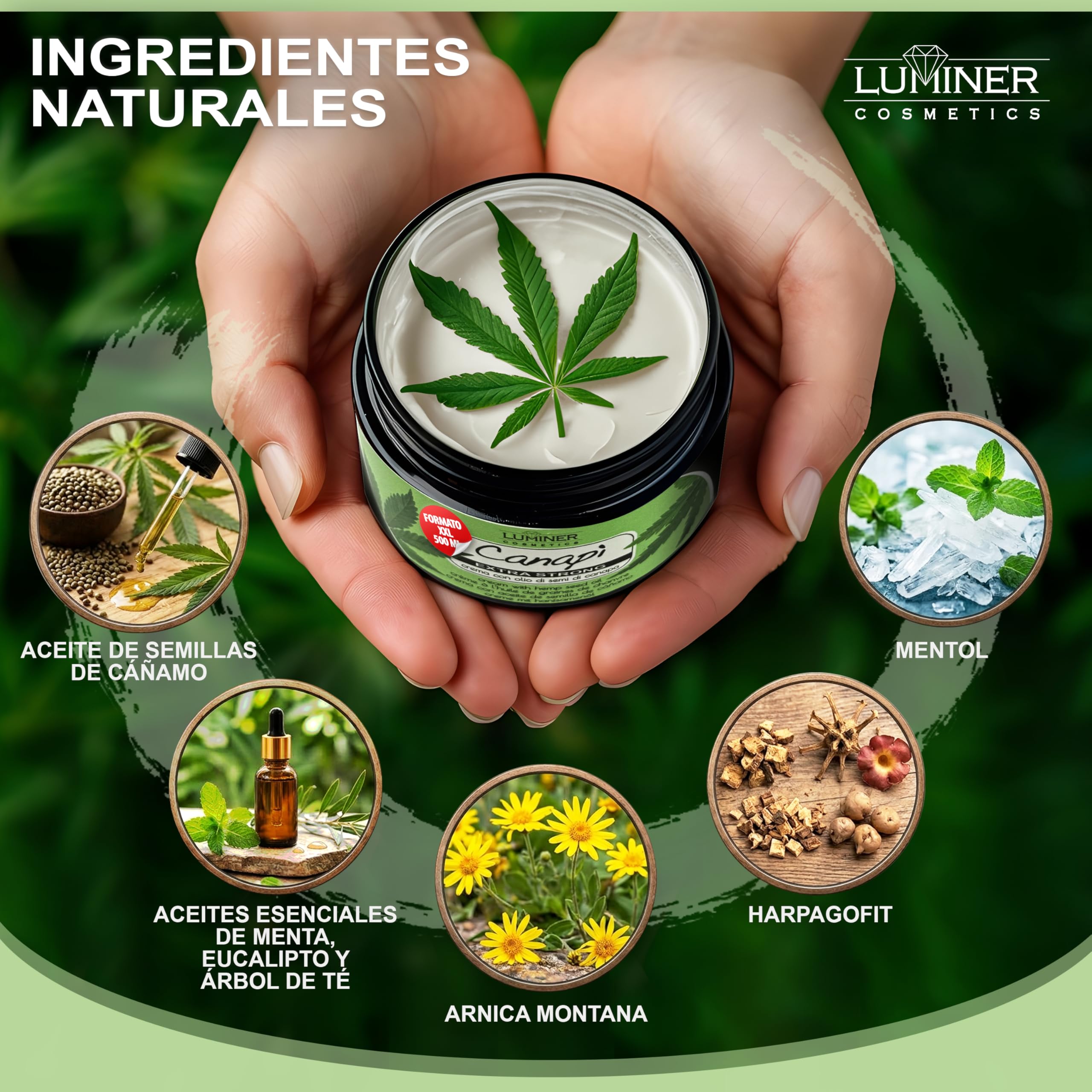 Luminer Crema de aceite de semillas de Cáñamo 500 ml – Gel de masaje con aceite de semillas de cáñamo, árnica y harpagofito – Rápida absorción