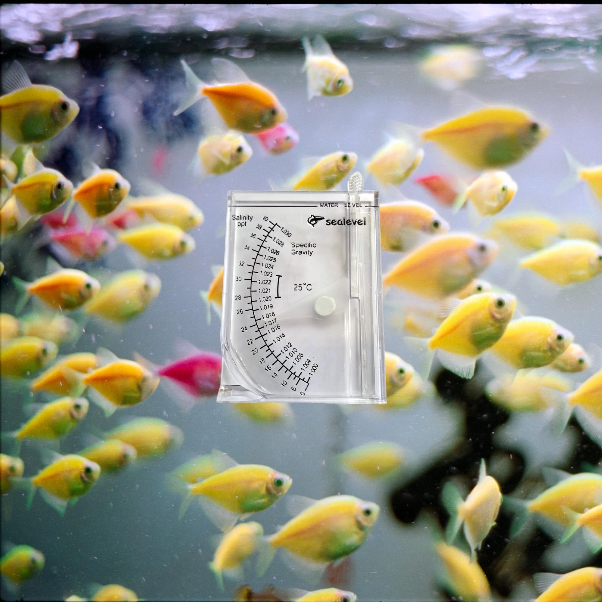 Hydrometer Salzgehalt Tester für Aquarium Meerwasser Fisch Tank Salzwasser