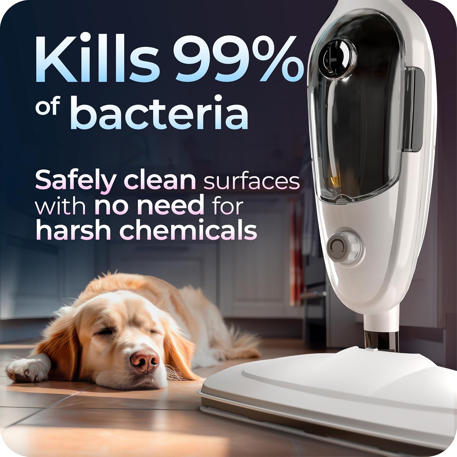 Avalla T-9 Steam Mop cleaning a floor near a dog