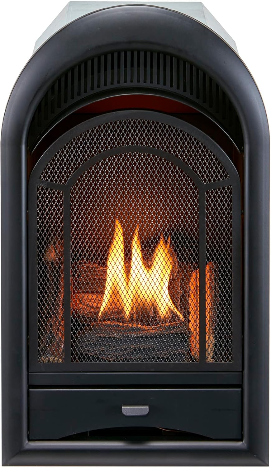 Dual Fuel Ventless Gas Fireplace Insert with