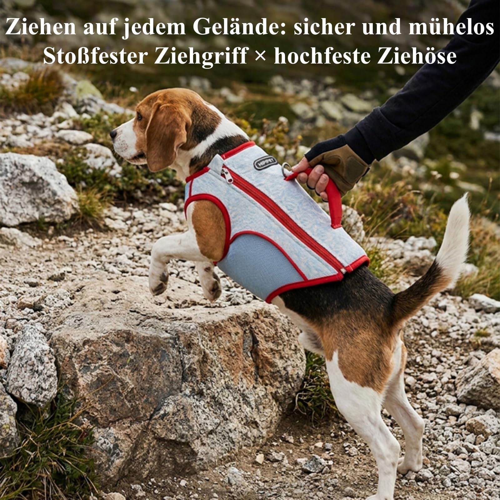 Hunde Kühlweste 3-lagig D-Ring Rückenreißverschluss Wandern Gassi Jagd Camping atmungsaktiv Sommer (XS,Cremeweiß)