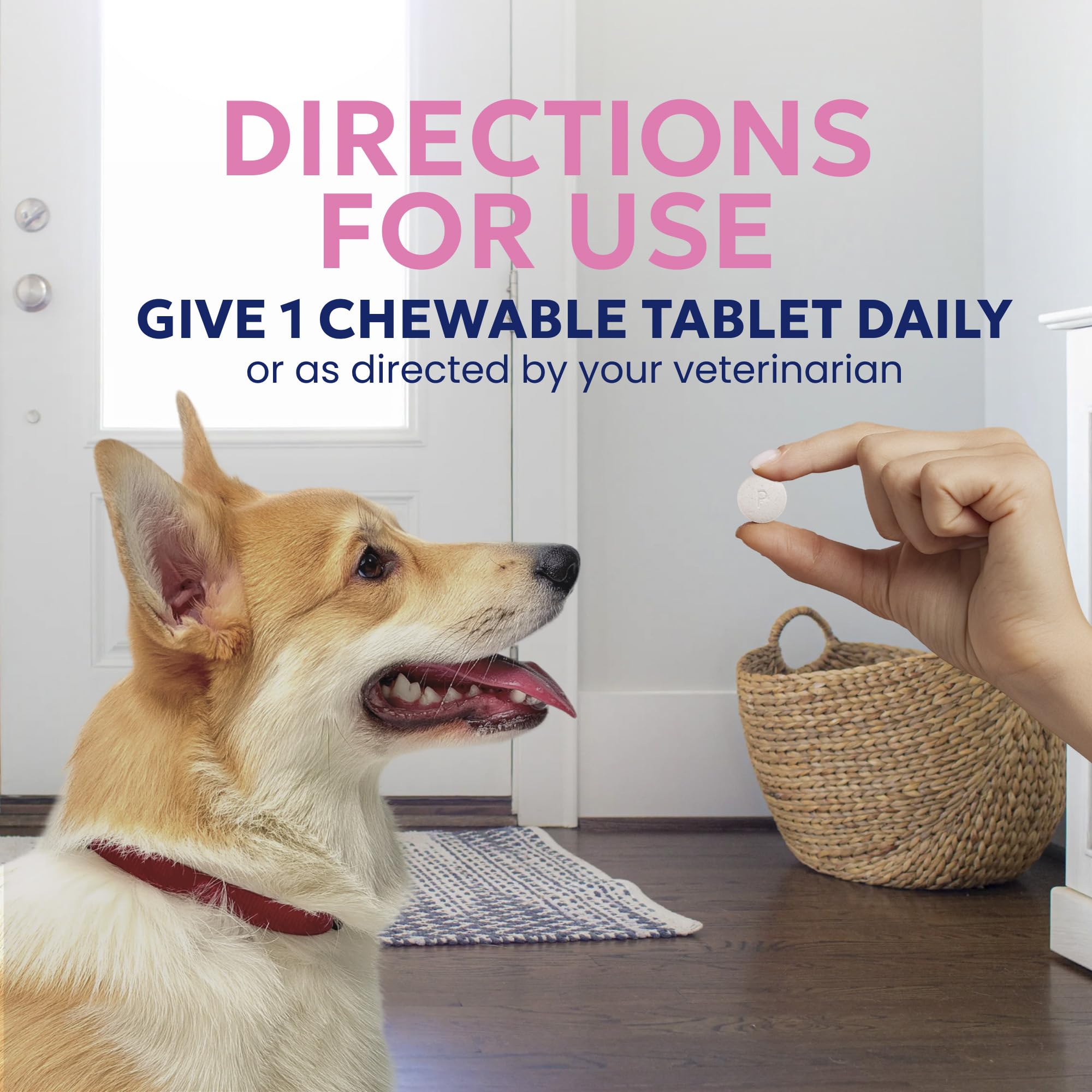 Nutramax Proviable Probiotics + Prebiotics for Dogs, Chewable Tablets, 60ct — Amazon image 7