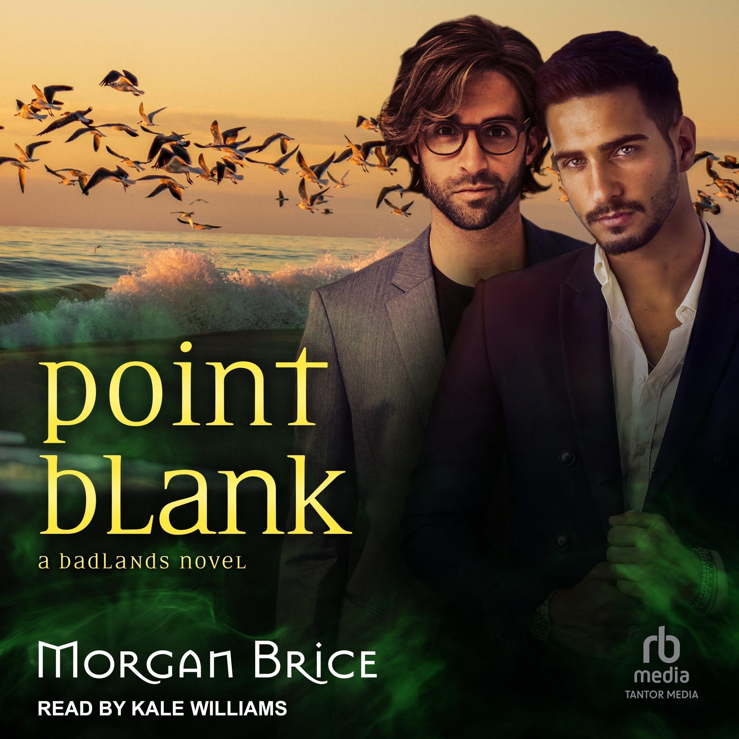 Cover art for Point Blank