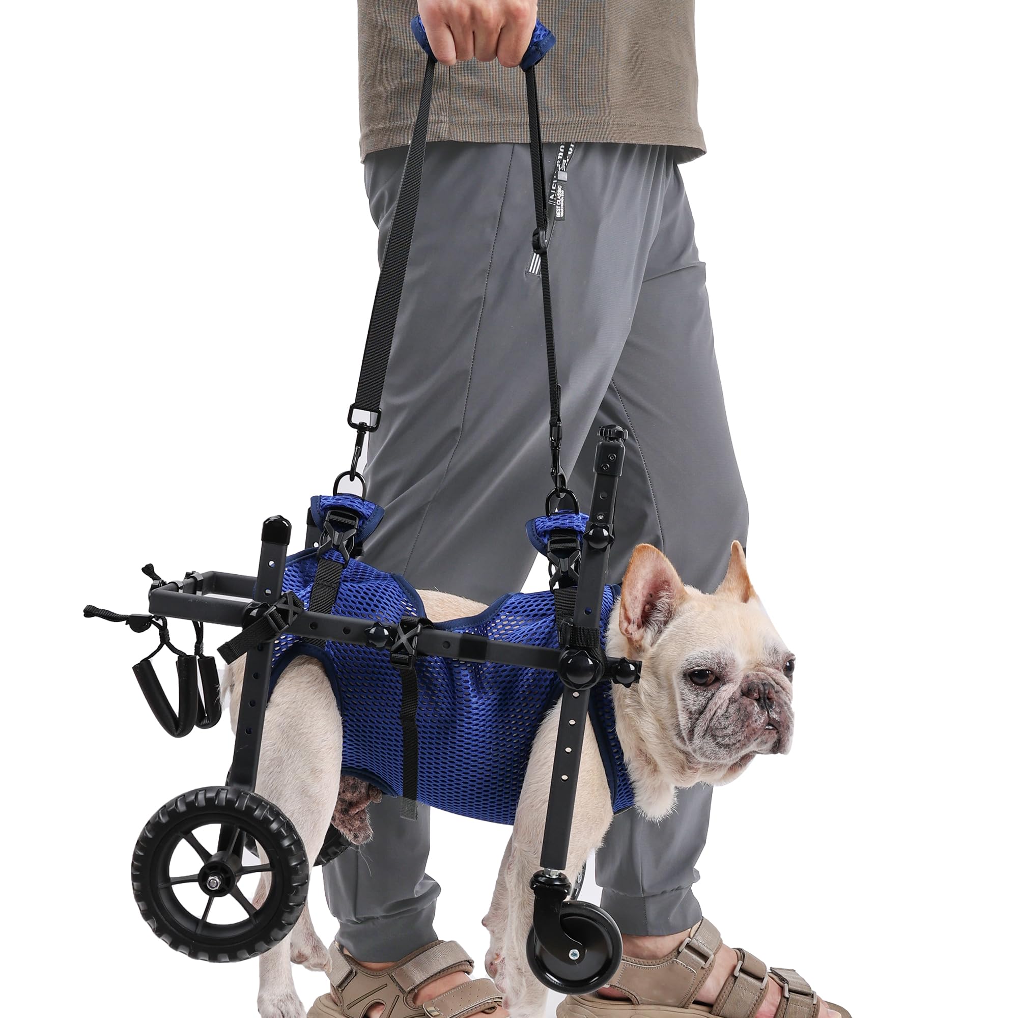 Sedia a rotelle a 4 Ruote per Cani disabili e Anziani, Regolabile, per la Mobilità degli Animali Domestici, con Maniglia, Carrello per Sedia a rotelle per Riabilitazione Posteriore/Gambe (S)
