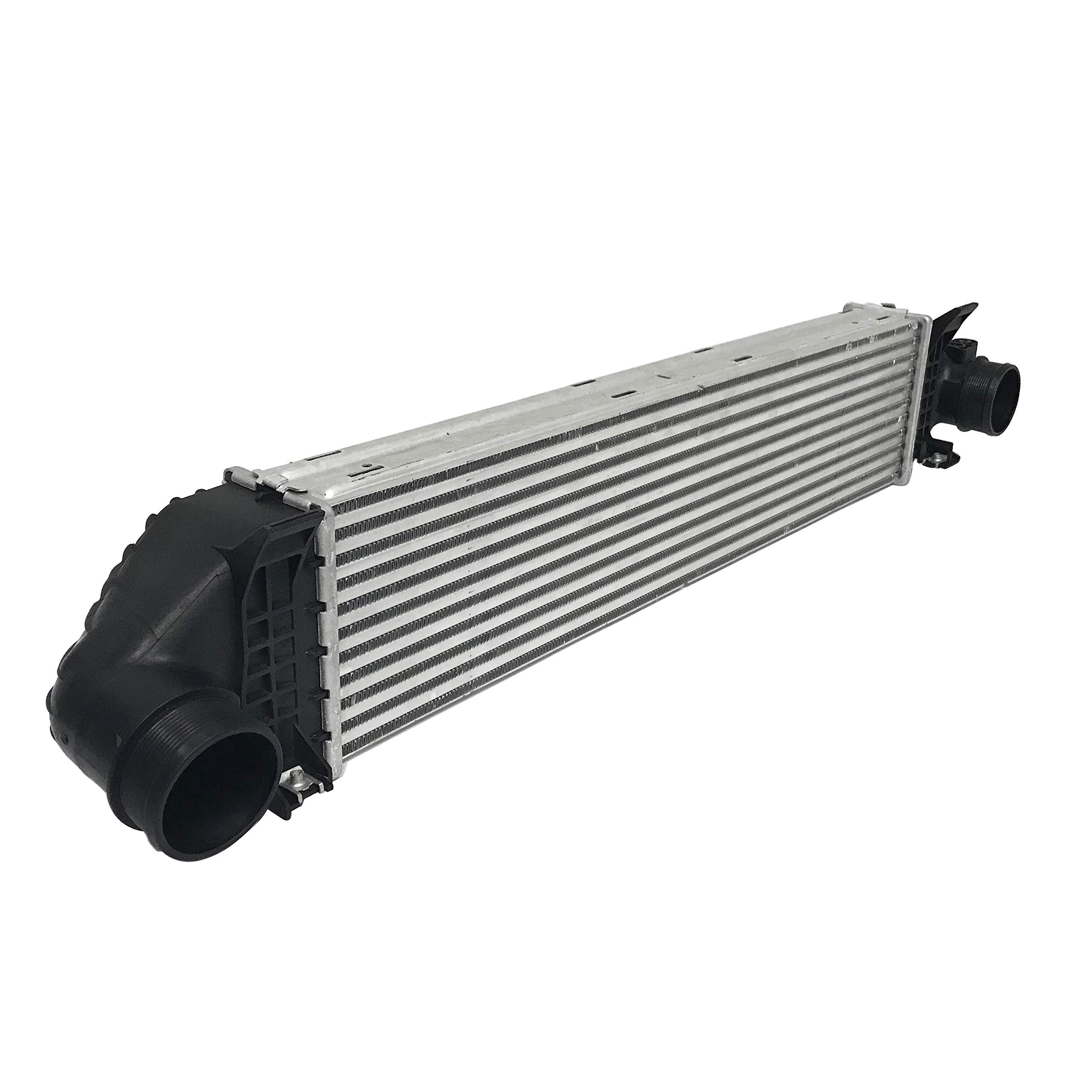 野猿 2000GTR Budokan Limited Inter Cooler～ 野猿 2000GTR Budokan Limited Inter Cooler～ Installing an