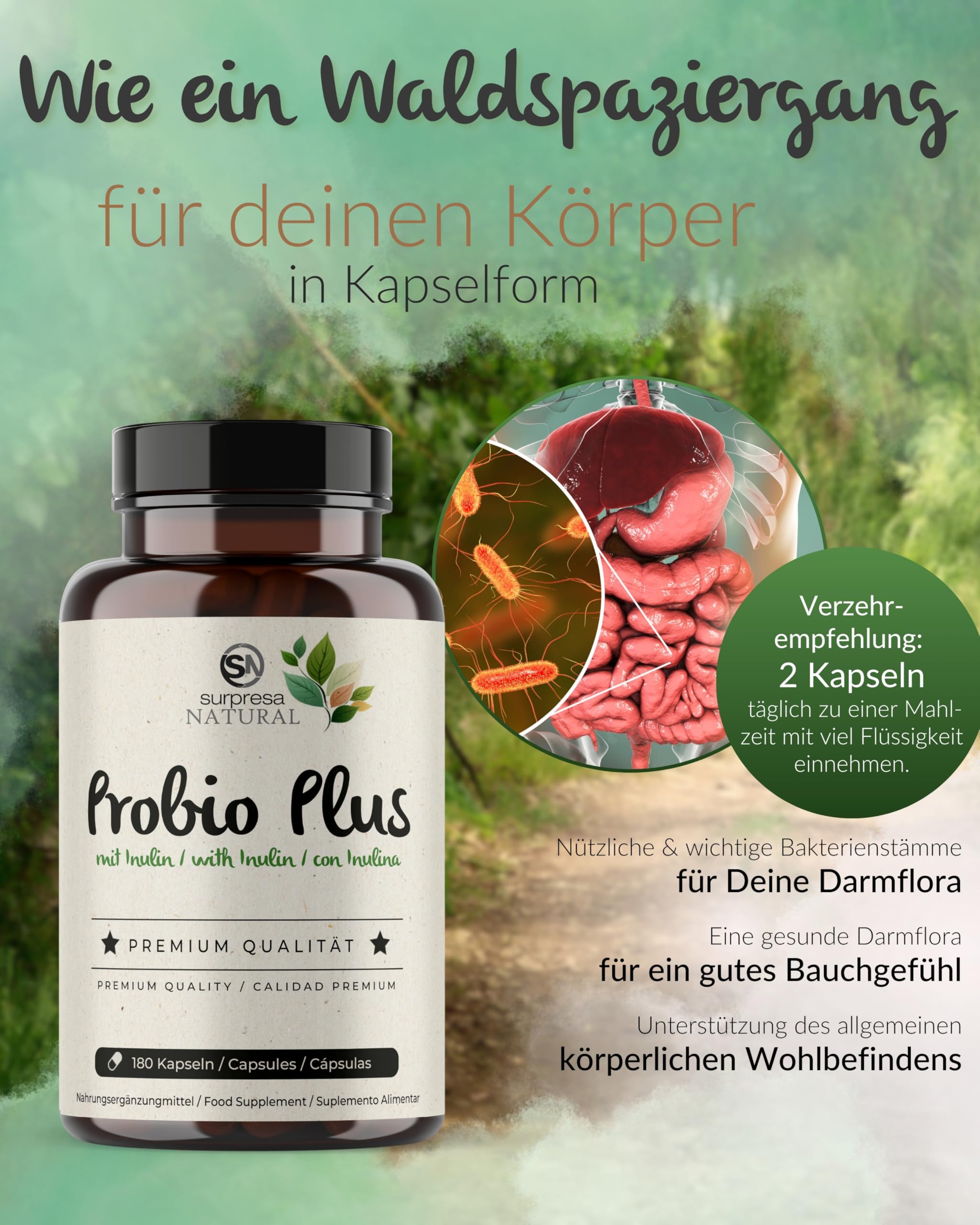 Probio Plus Kapseln hochdosiert I 3x 180 Kapseln mit Inulin & Bacillus subtilis I 20 Mrd. KBE pro Tag I Kulturen Komplex 18 Bakterienstämme I magensaftresistent & vegan