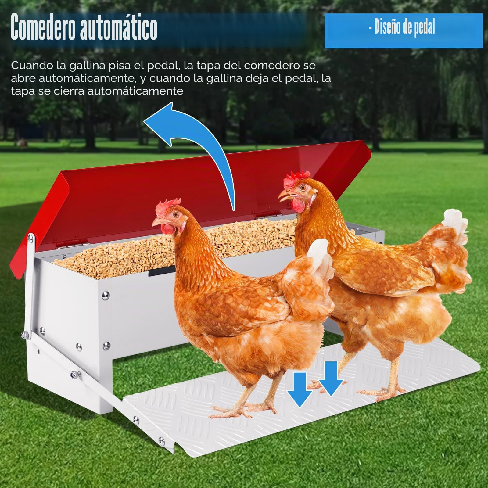 Comedero para Pollos con Pedal Metálico Capacidad 7kg, Alimentador Antidesperdicio Resistente a la Intemperie para Exterior con Tapa Protectora, Adecuado para 6 a 12 Pollos, Patos y Gansos