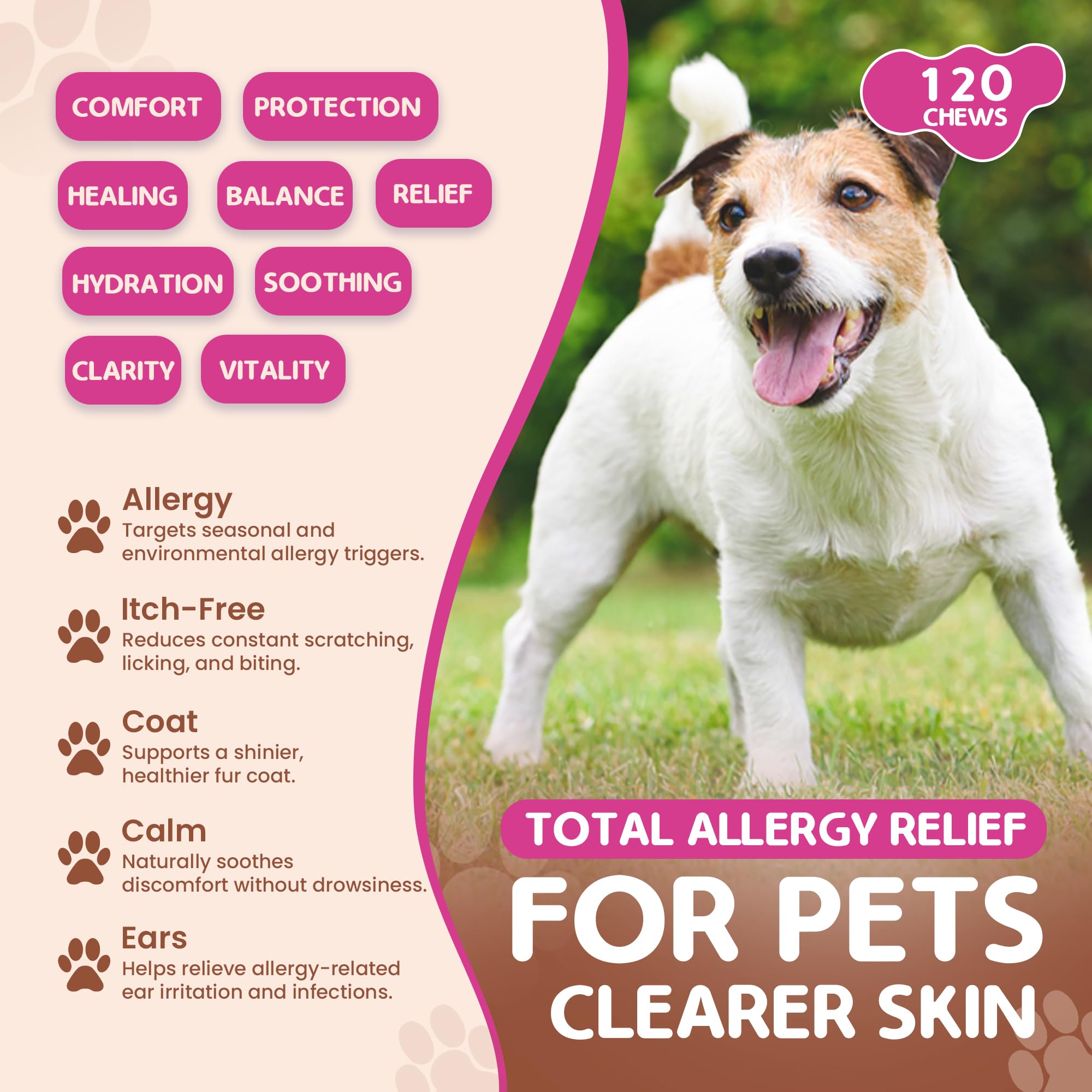 Pawfalls Allergy Relief Chews for Dogs, Itchy Skin, Hot Spots & Seasonal Allergy Support, Anti-Itch Supplement with Omega-3 - Image 3