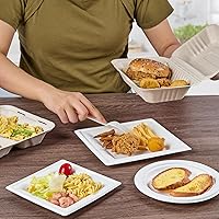 Vista 6 de ECOLipak Paquete de 75 recipientes para llevar con tapa, 100% compostables, desechables, 22,9 x 15,2 cm, recipientes resistentes para llevar