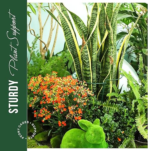 Miniatura 5 de LEOBRO Estacas de soporte para plantas, 4 estacas para plantas, soporte para plantas, jaulas y soportes de peonía, estacas de jardín, estacas para