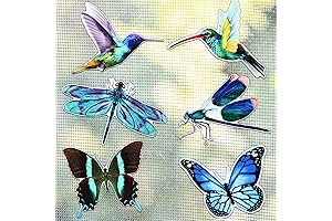 Screen Door Magnets Double Sided Decorative Screen Magnets