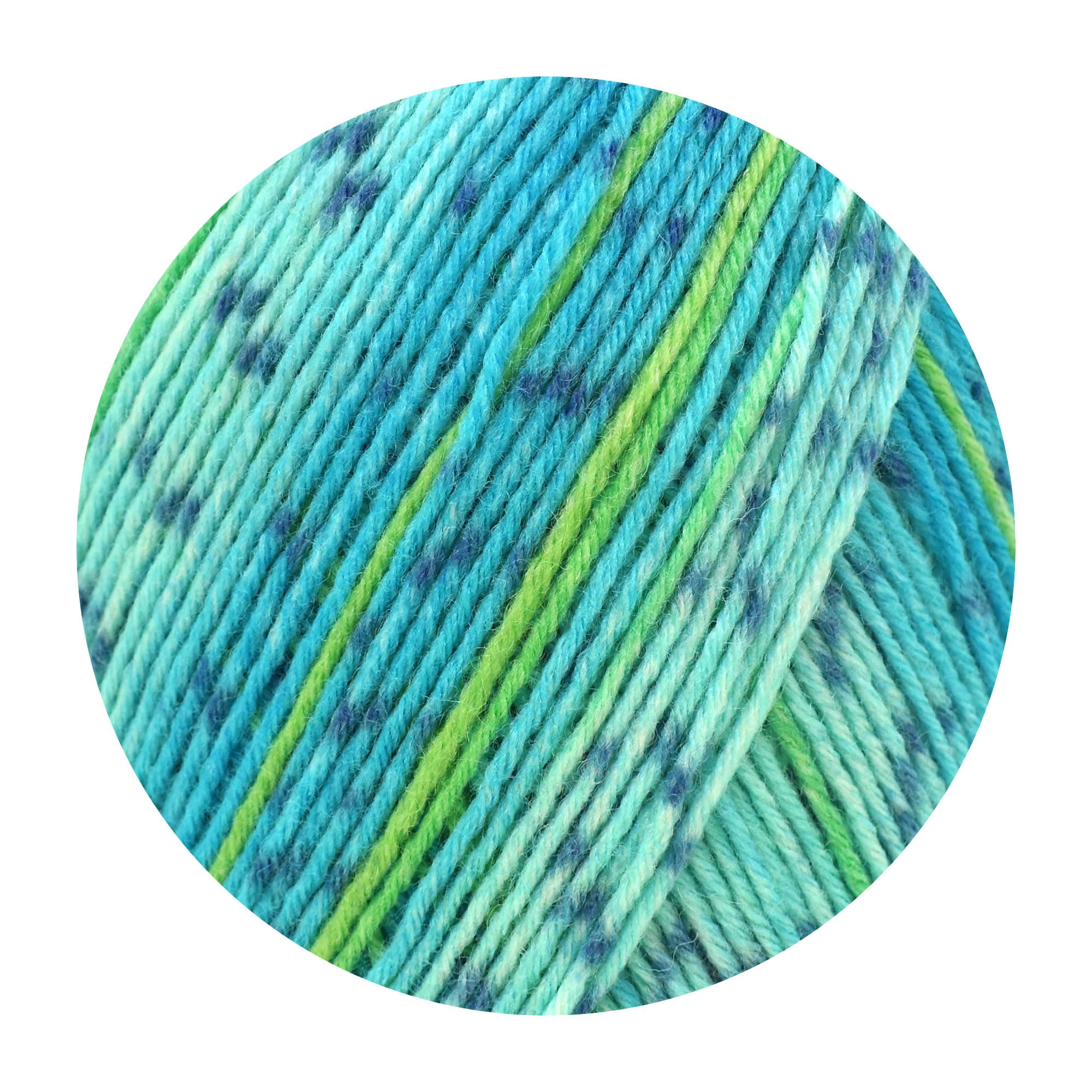 Amazon.com: Opal 6-Ply Sock Yarn, Rainforest Collection, 150 g