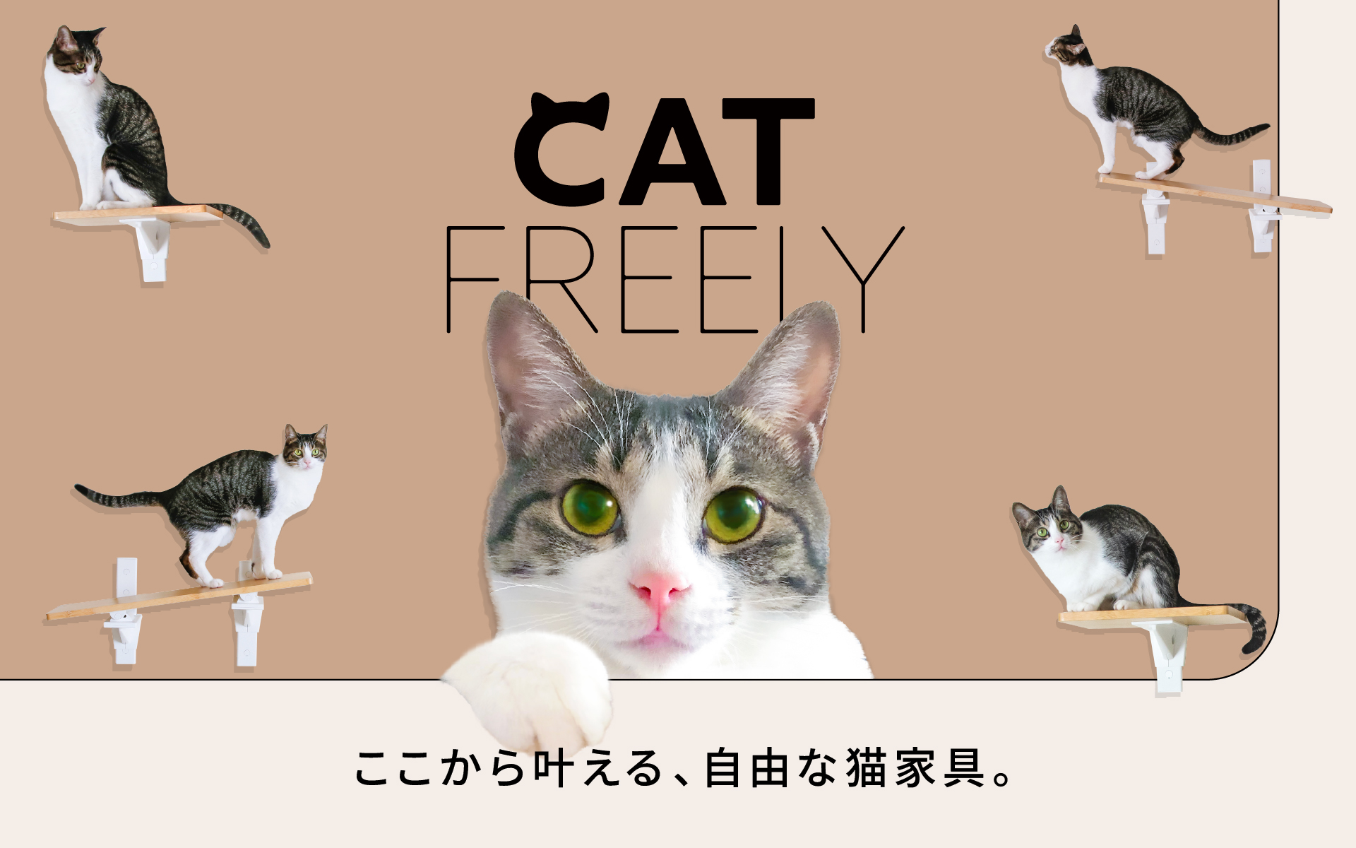 Amazon.co.jp: HEIAN SHINDO キャットステップ 壁付け 賃貸 木製 石膏