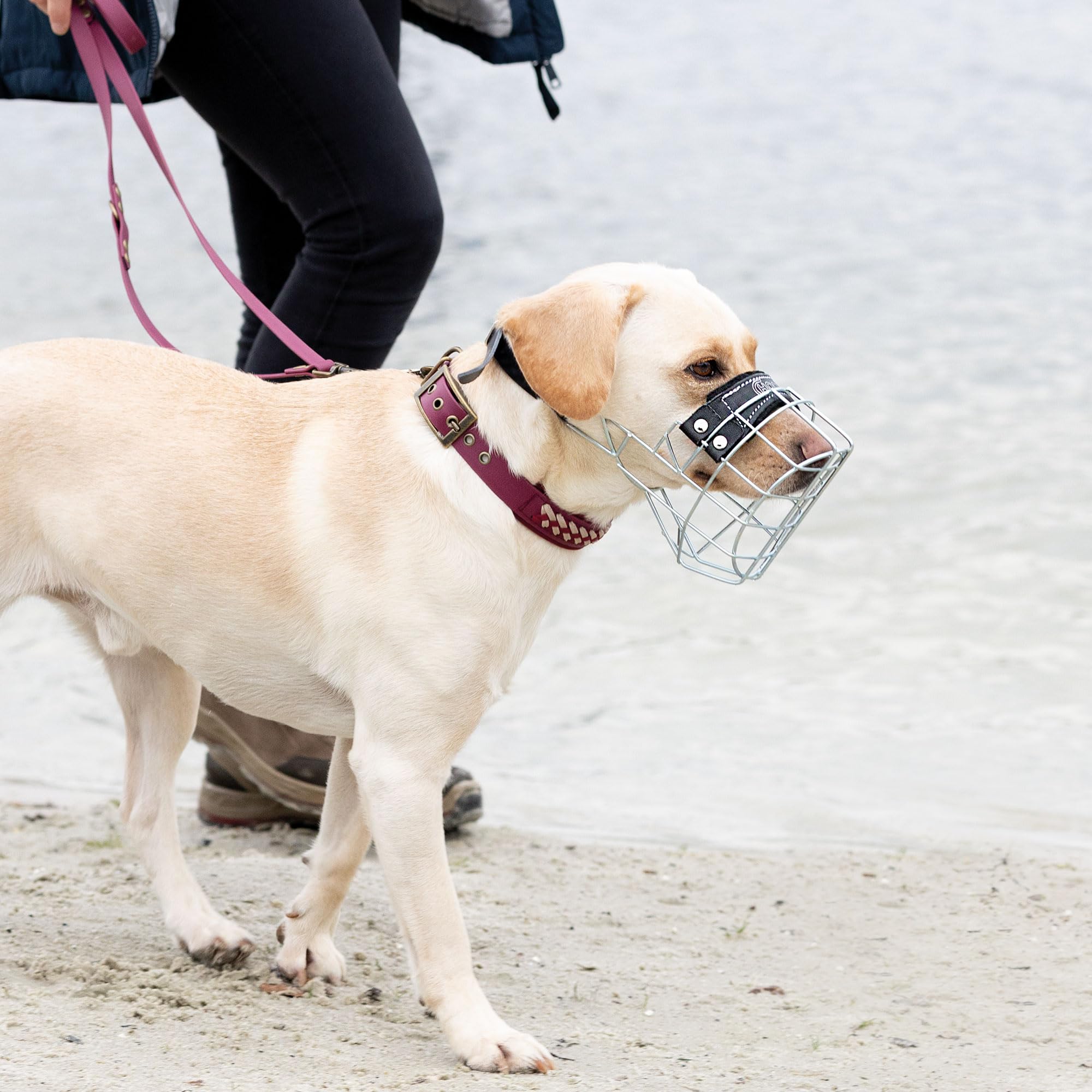 CHOPO Muselière en fil métallique pour chien allemand – Muselière pour chien – Confort et sécurité dans un équilibre parfait