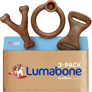 Pet Supplies