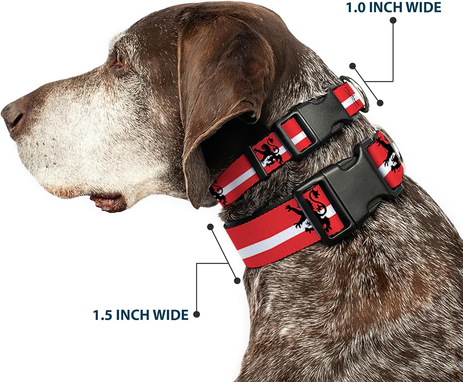 Buckle-Down 13-18" Rampant Lion Repeat/Stripes Red/White/Black Plastic Clip Collar, Wide Small