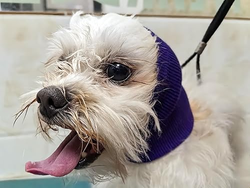 Miniatura 5 de Paquete de 2 envolturas para las orejas sin solapa, sudaderas calmantes para perros, cubiertas calmantes para las orejas sin solapa, cubiertas para