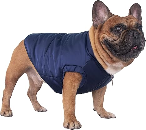 barbour dog coat amazon