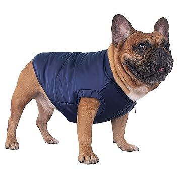 iChoue Dog Cotton Padded Coat Thick Winter Warm Vest Waistcoat Cold Weather Jacket Clothing for English Bulldog Bully Pitbull- Blue L+