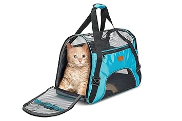 KIKA Pets Carrier for Cat Dog Rabbit Birds, Portable Folding Breathable Pet Carrier Airline Approved, Suitable for Small Dogs, Shihtzu, Puppies, Kittens and Medium-Sized Cats (Sea Green Color)