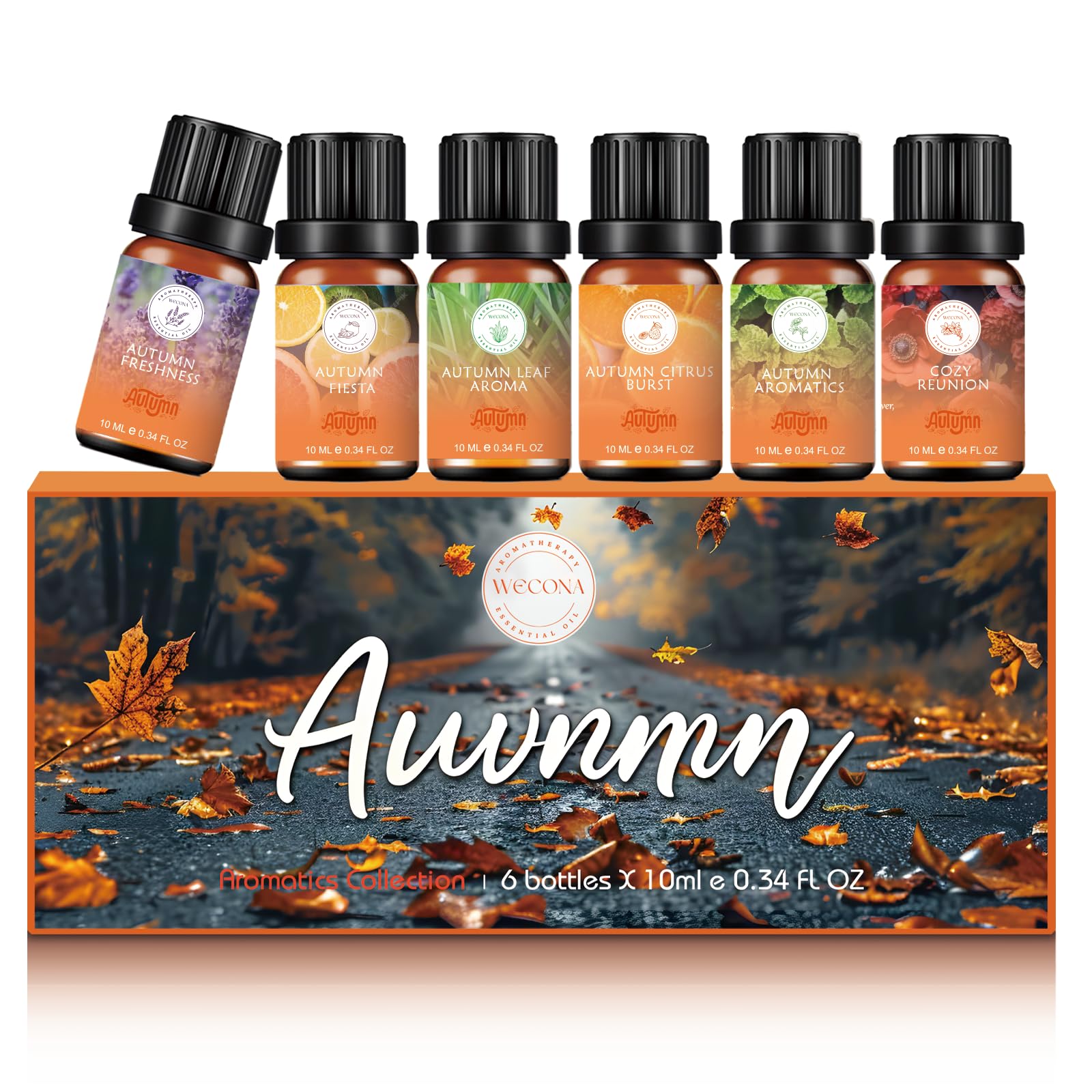 https://m.media-amazon.com/images/I/81AAXUYFCrL.jpg
