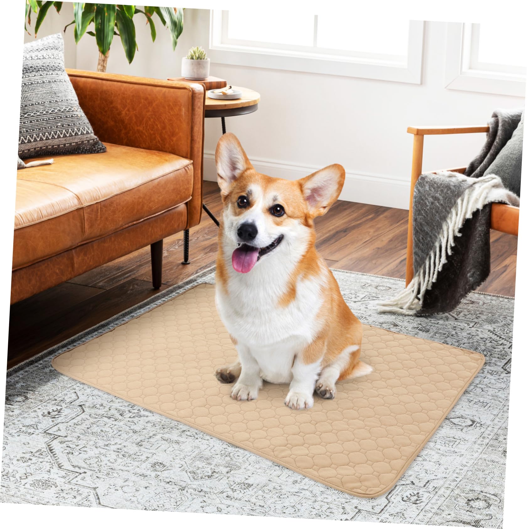 2pezzi Tappetini Igienici Assorbenti Lavabili Per Cani e Gatti Superficie Assorbente e Base Antiscivolo Per Addestramento e Comfort Degli Animali Domestici