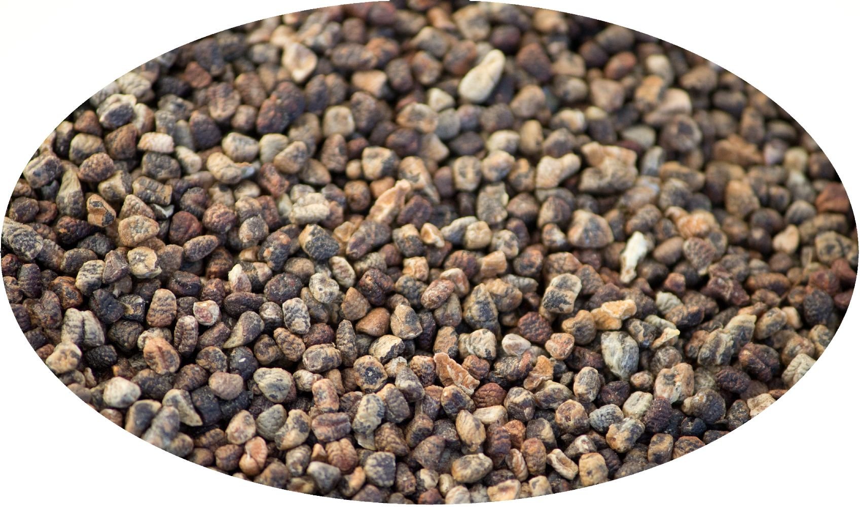 Eder Spezie - Cardamomo nero - 250g