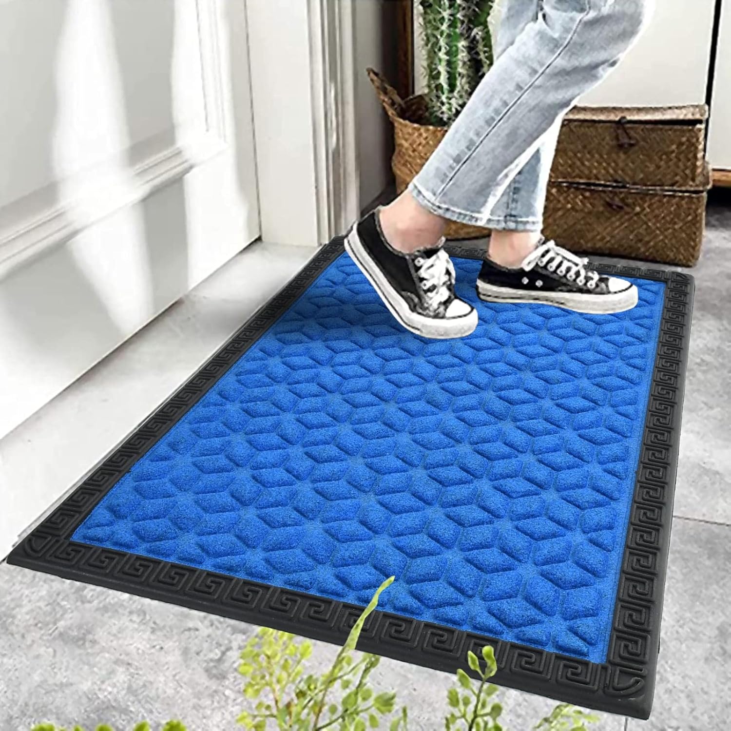 Buy HOWNICE Doormat for Home Entrance Footmates for Door Main Door Mats